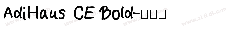 AdiHaus CE Bold字体转换